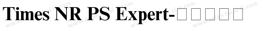 Times NR PS Expert字体转换